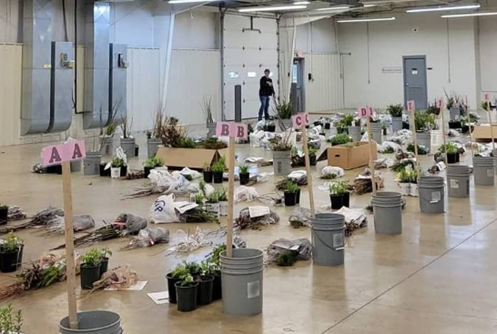 Miami County Ohio SWCD Annual Tree Sale Miami County Ohio SWCD Annual Tree Sale